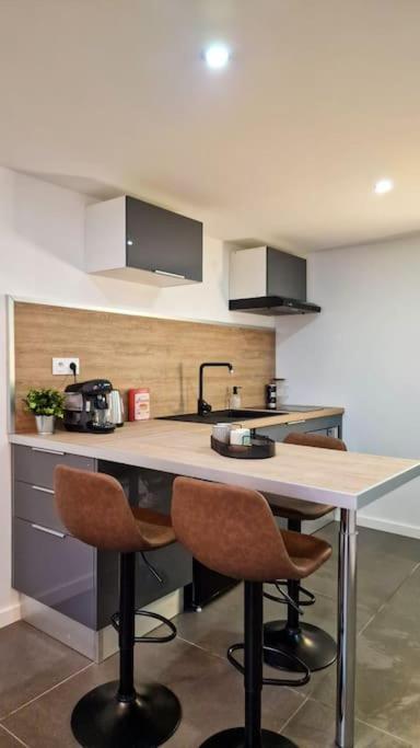 생테티엔 L'Atelier B Magnifique Loft Avec Terrasse Privee 아파트 외부 사진